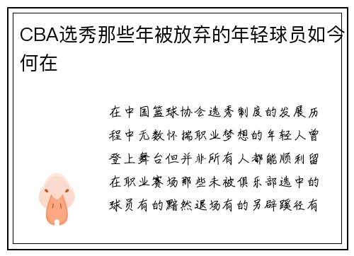 CBA选秀那些年被放弃的年轻球员如今何在