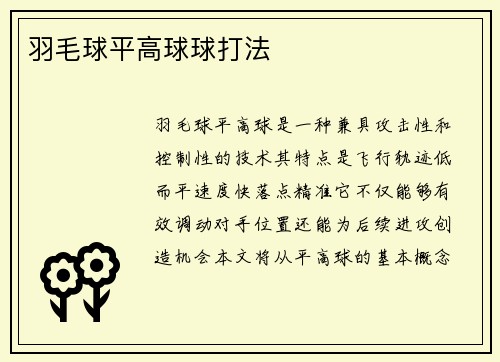 羽毛球平高球球打法